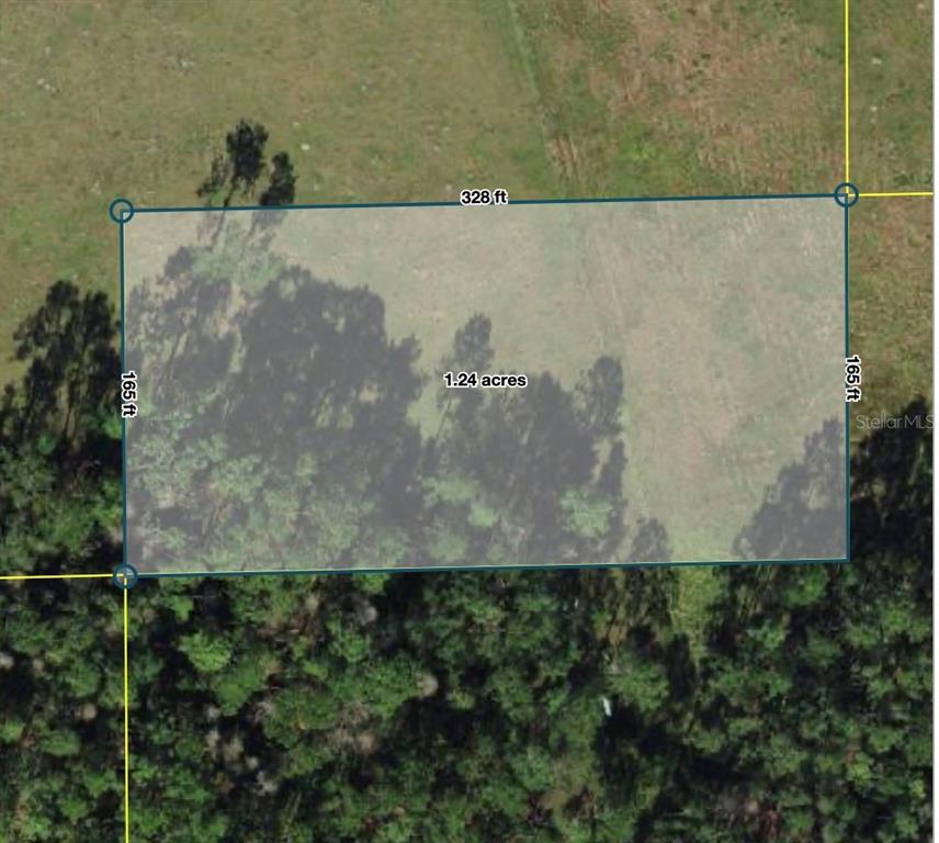 An aerial map shows a rectangular 1.24-acre plot of land with dimensions labeled — POLK CITY, POLK CITY, FL