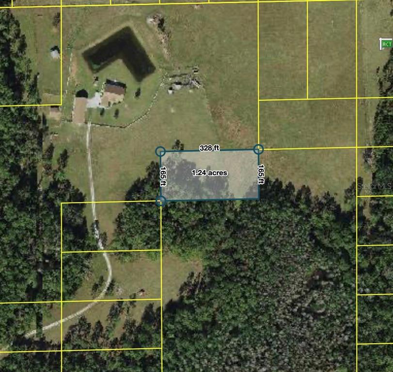 This is an aerial map showing a rectangular 1.24-acre plot of land with property dimensions — POLK CITY, POLK CITY, FL