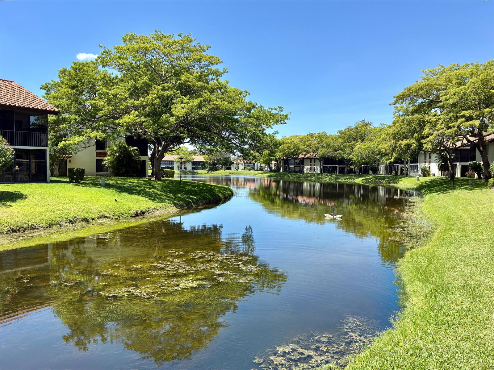 A calm pond reflects the surrounding apartment buildings and large trees under a clear sky — 10615 Ocean Palm Way # 102, Boynton Beach FL 33437, BOYNTON BEACH, FL