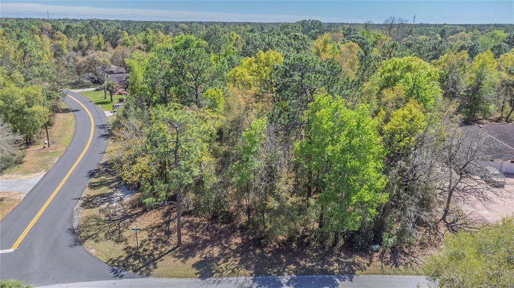 An aerial view shows a wooded, undeveloped residential lot situated along a curved paved road — 1 PINE STREET, HOMOSASSA, FL