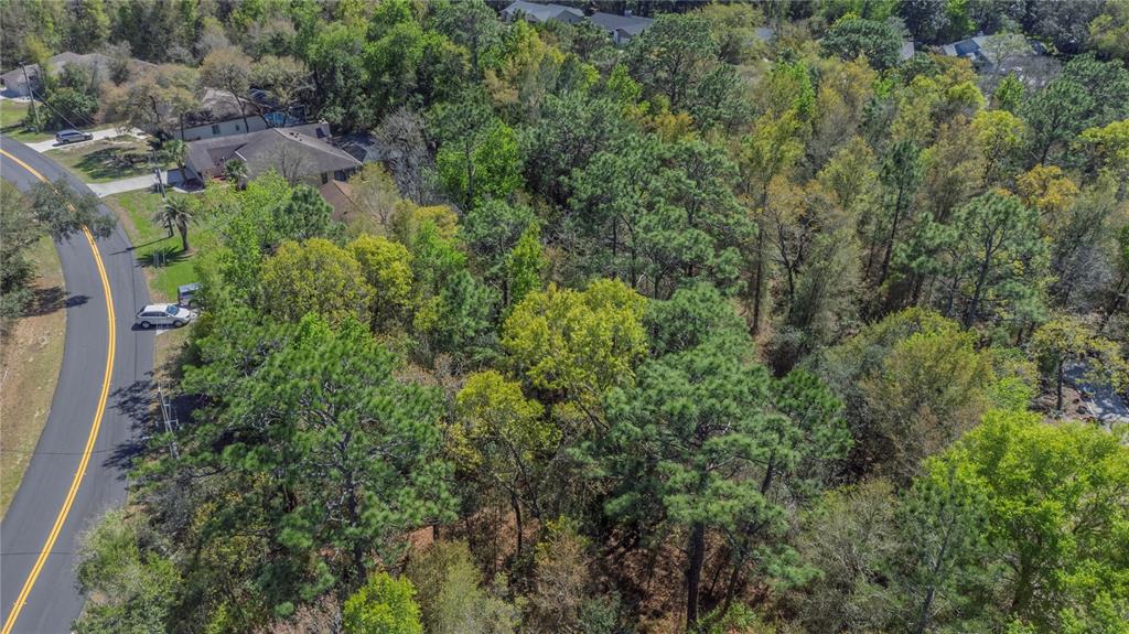 An aerial view shows a wooded residential lot next to a curved paved road — 1 PINE STREET, HOMOSASSA, FL