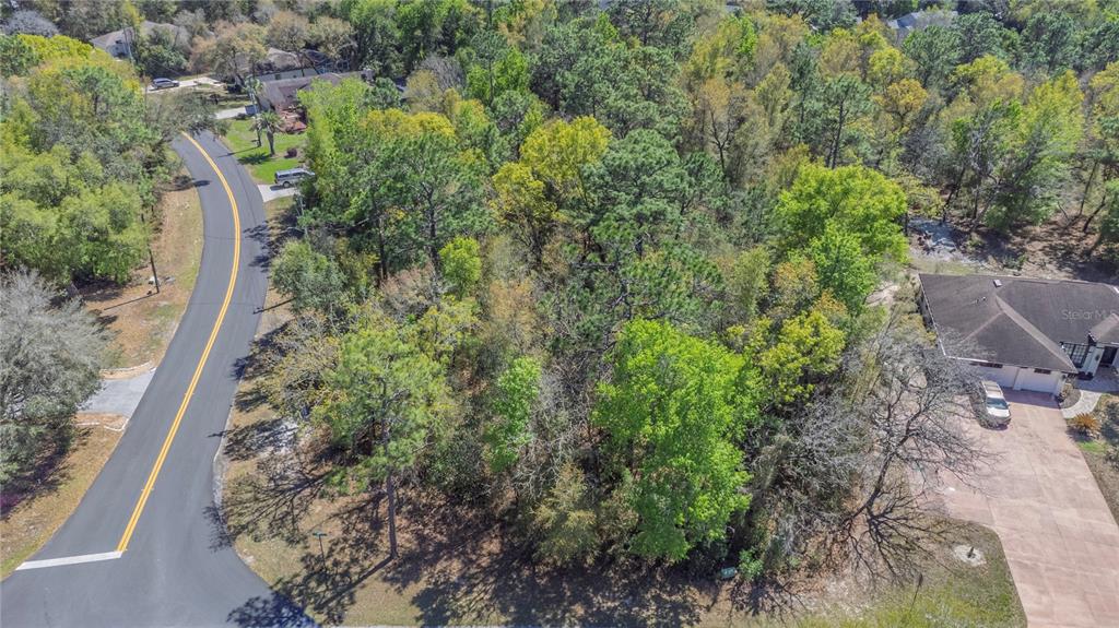 An aerial view shows a vacant, wooded residential lot situated between a curved road and a house — 1 PINE STREET, HOMOSASSA, FL