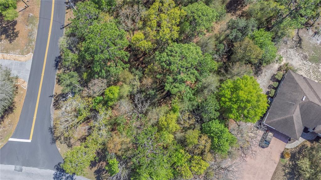 An aerial view shows a wooded lot situated between a paved road and a house — 1 PINE STREET, HOMOSASSA, FL