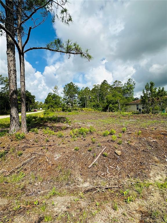 A vacant, partially cleared lot features pine trees and sparse vegetation under a cloudy sky — 2873 LAUREL ROAD, DELAND, FL