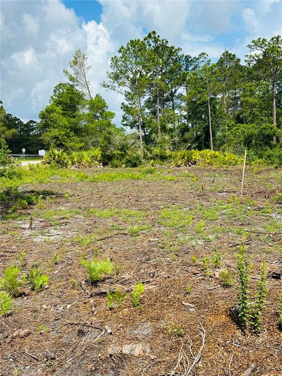 A cleared, sandy lot features sparse vegetation with a dense forest line in the background — 2873 LAUREL ROAD, DELAND, FL