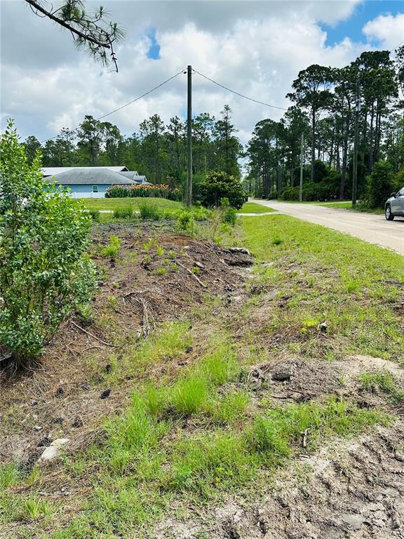 A dirt road runs alongside a grassy drainage ditch and a wooded residential lot — 2873 LAUREL ROAD, DELAND, FL