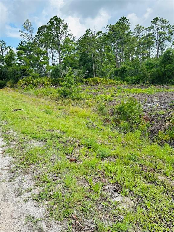 A grassy, partially cleared lot features a sandy path and a dense forest background — 2873 LAUREL ROAD, DELAND, FL