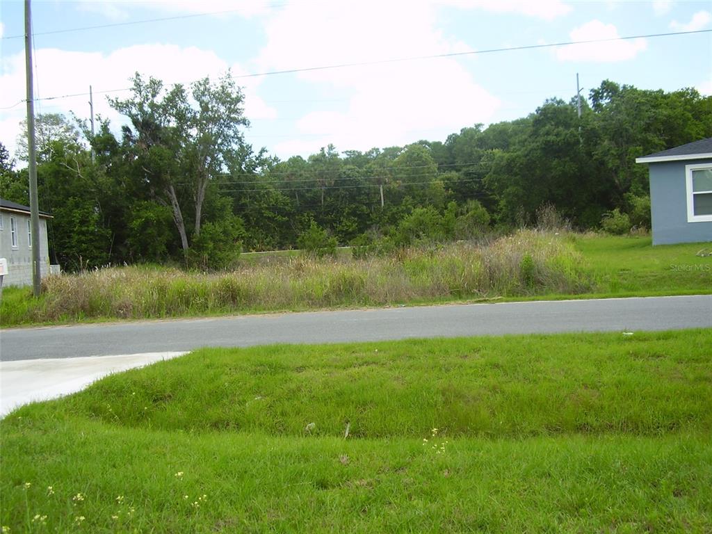 A vacant, grassy lot sits between two houses along a paved road — 1409 TEAL DRIVE, KISSIMMEE, FL