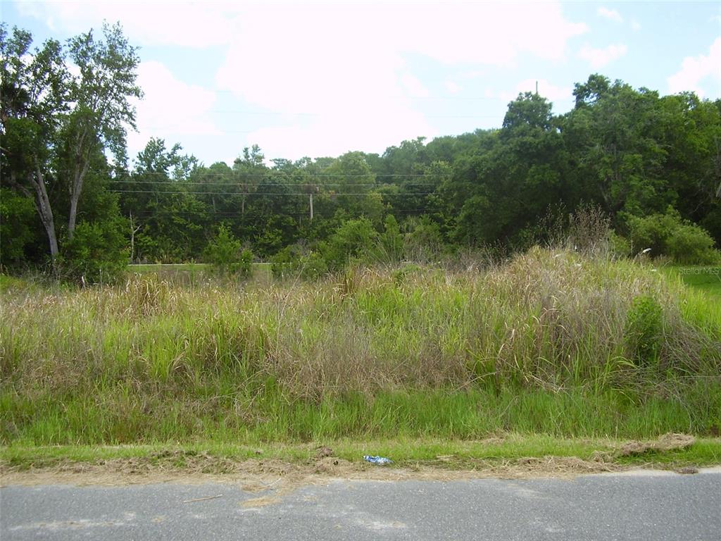 A vacant, overgrown grassy lot sits next to a paved road with trees in the background — 1409 TEAL DRIVE, KISSIMMEE, FL
