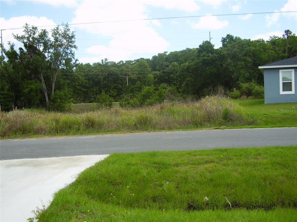 A vacant, grassy lot sits next to a blue house along a paved road — 1409 TEAL DRIVE, KISSIMMEE, FL