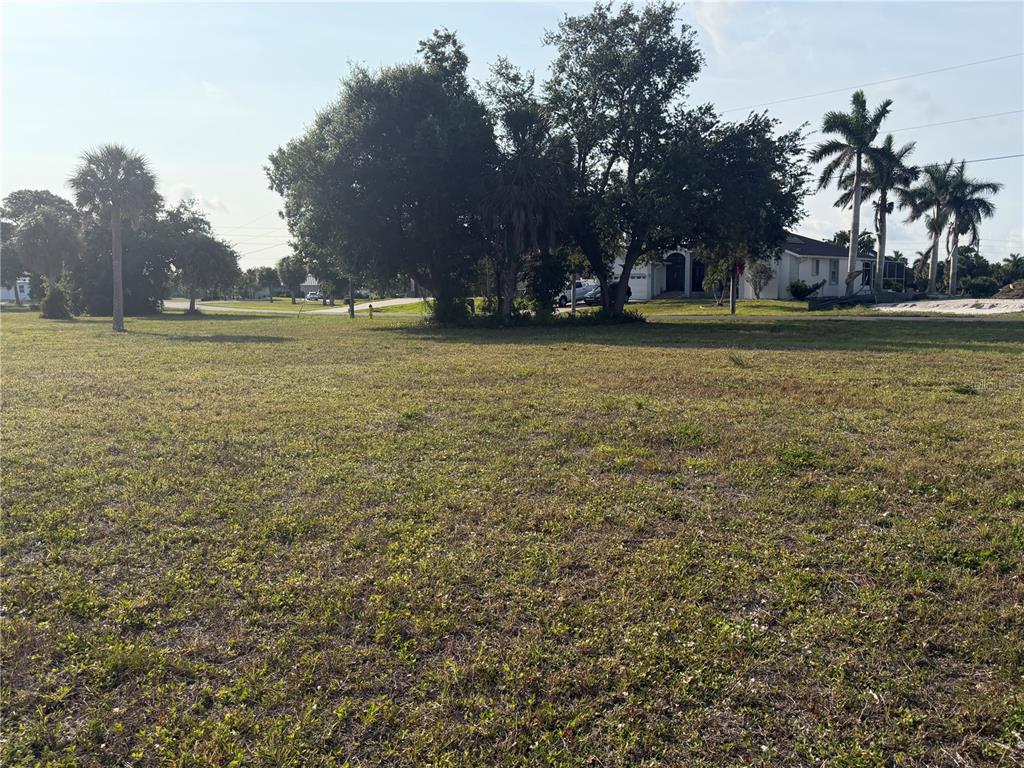 A grassy, undeveloped residential lot features several mature trees and palm trees under a sky — 24360 SAN RAFAEL ROAD, PUNTA GORDA, FL