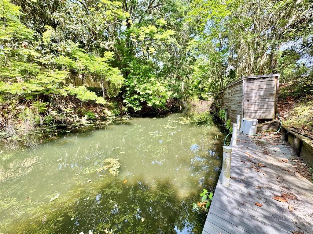 A wooden dock sits beside a murky canal surrounded by dense trees and a small shed — 30391 NE 97TH PLACE, SALT SPRINGS, FL