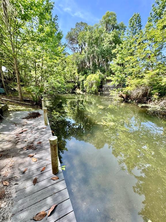 A wooden dock overlooks a calm, tree-lined canal on a sunny day — 30391 NE 97TH PLACE, SALT SPRINGS, FL