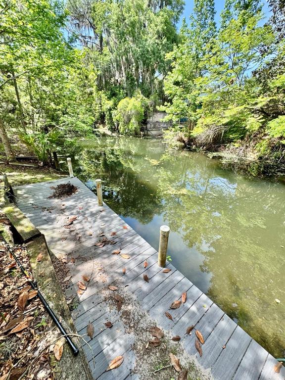 A wooden dock extends over a calm, tree-lined canal covered with scattered leaves — 30391 NE 97TH PLACE, SALT SPRINGS, FL
