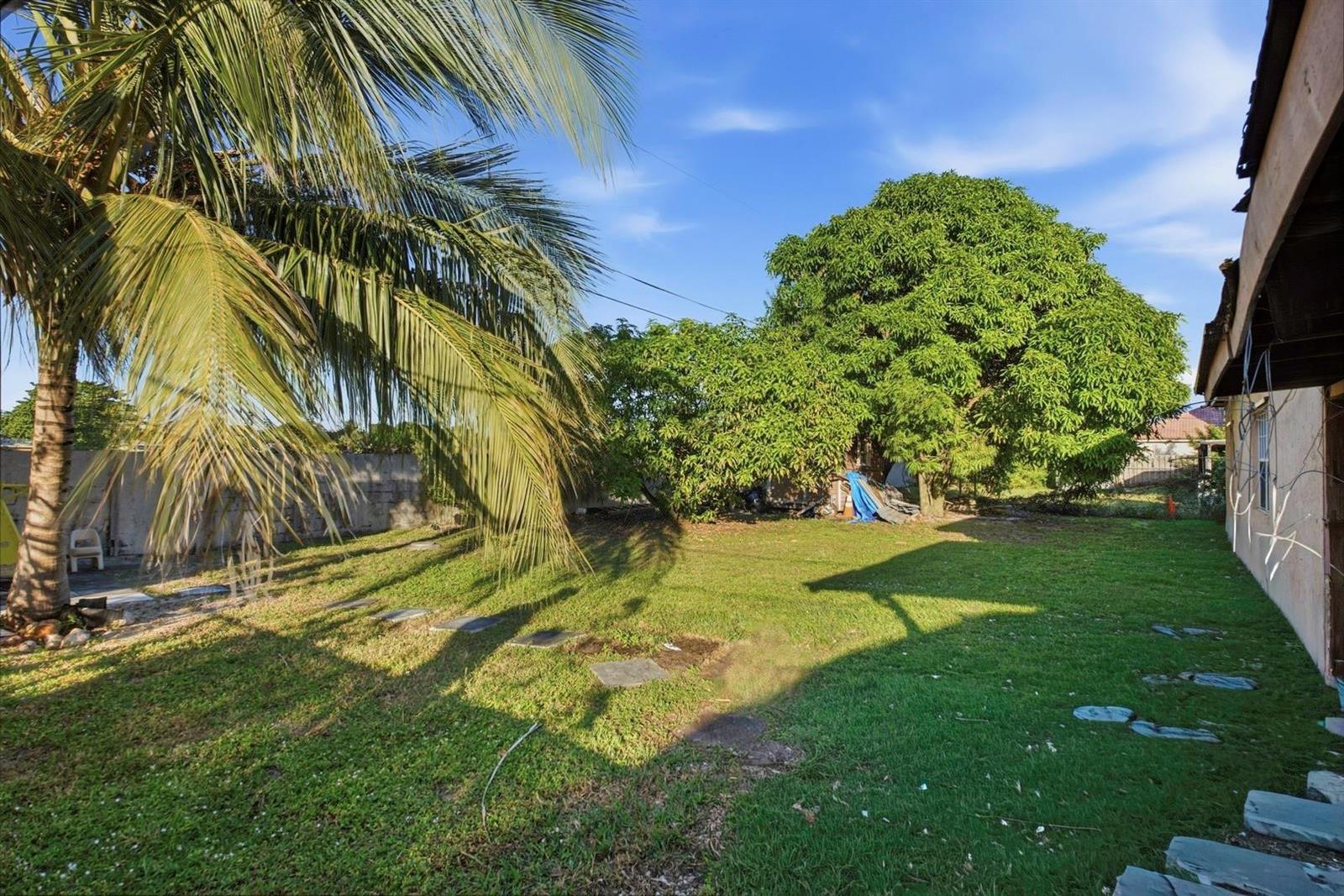A grassy backyard features a large palm tree, a leafy tree, and a concrete wall — 561 NE 38th Street, Deerfield Beach FL 33064, DEERFIELD BEACH, FL