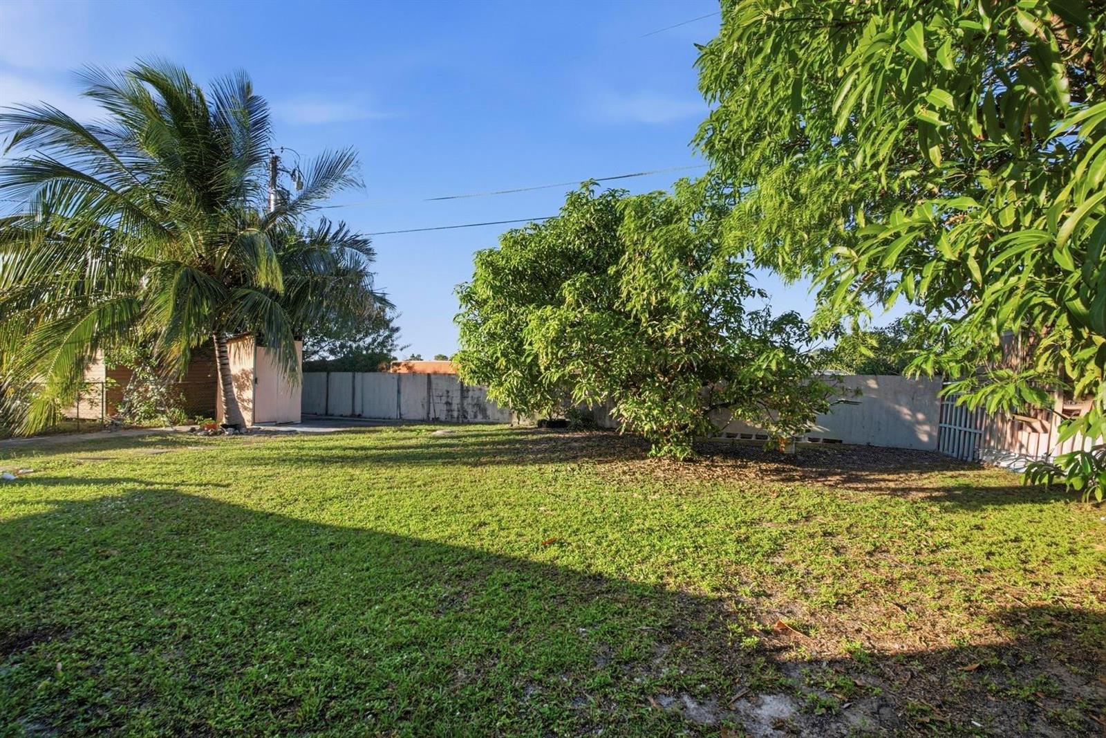 A grassy backyard features a palm tree, a large leafy tree, and a concrete fence — 561 NE 38th Street, Deerfield Beach FL 33064, DEERFIELD BEACH, FL