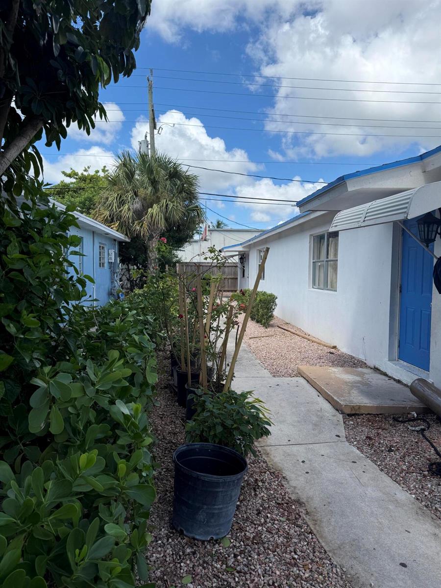 A walkway between two white buildings features potted plants, gravel, and a blue door — 1503 N J Street # A, FL 33460, FL