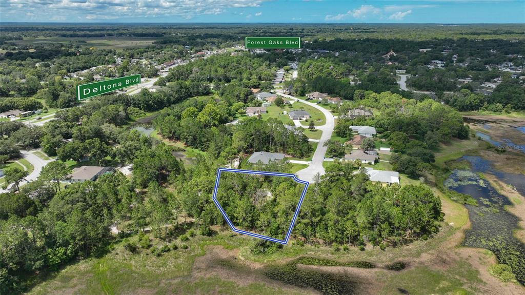 An aerial view shows a vacant, wooded residential lot outlined in blue near a cul-de-sac — VALLEY BROOK COURT, SPRING HILL, FL