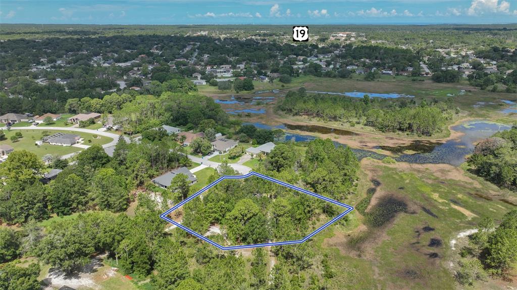 An aerial view shows a wooded residential lot outlined in blue next to a wetland area — VALLEY BROOK COURT, SPRING HILL, FL
