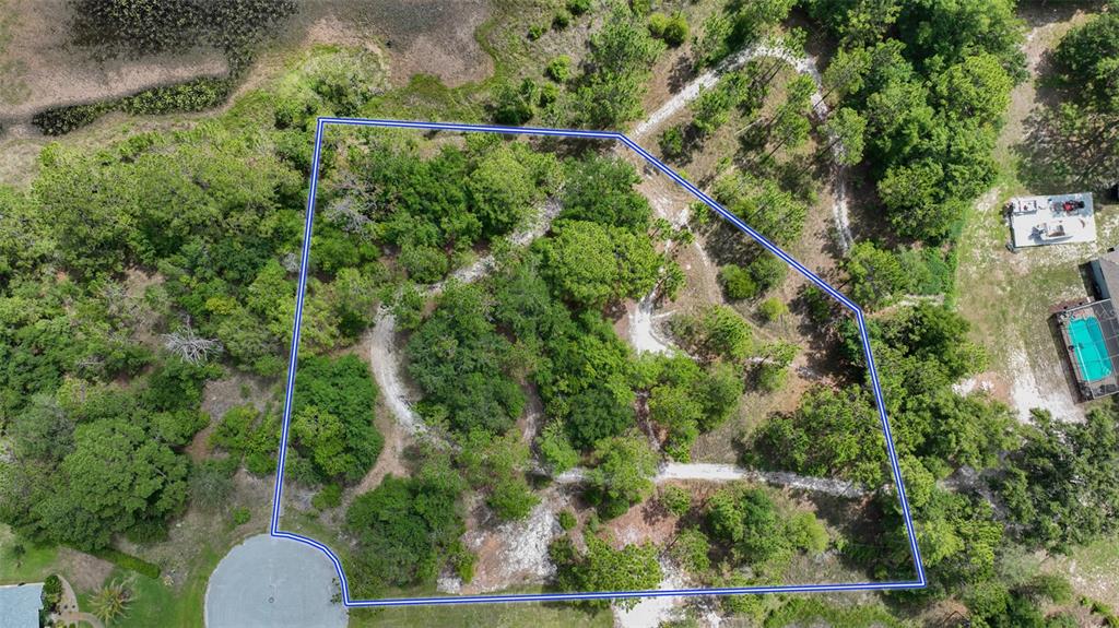 An aerial view shows a wooded, irregularly shaped vacant lot outlined in blue — VALLEY BROOK COURT, SPRING HILL, FL