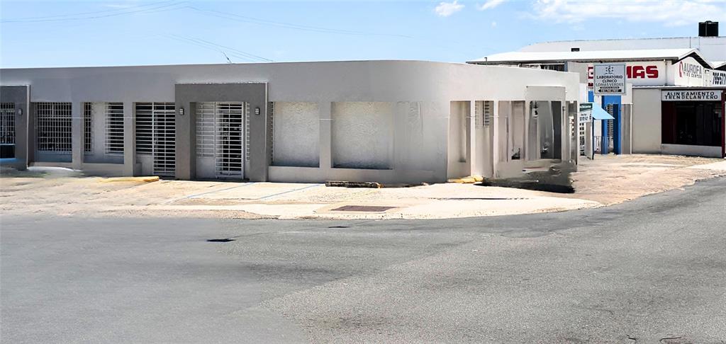 A single-story commercial building with a light gray exterior and metal security grilles on windows — Z40 LAUREL AVENUE, BAYAMON, PR