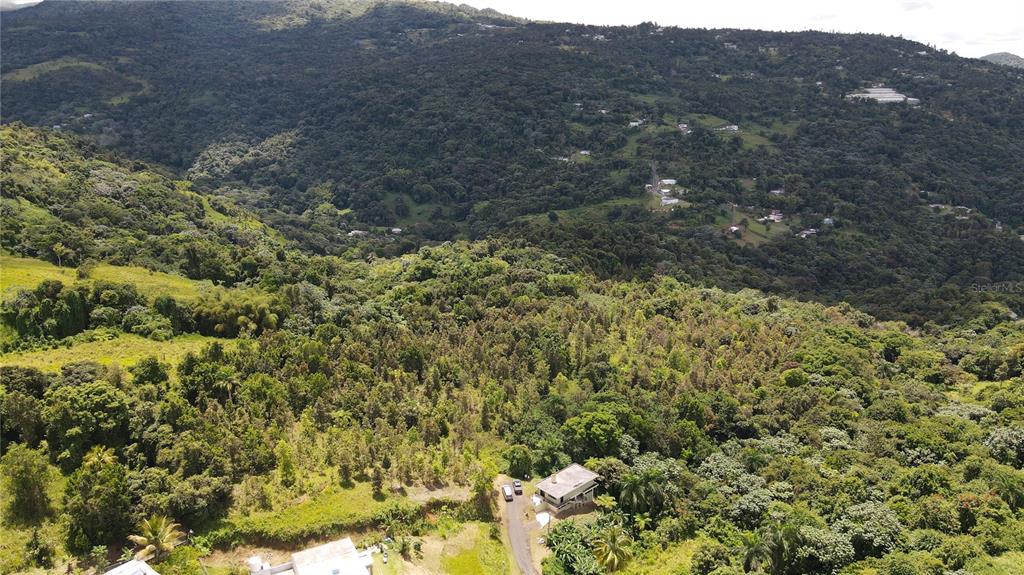 An aerial view shows a house surrounded by dense forest and rolling green hills — 185 Km. 5.8 BO CAMPO RICO SECTOR PENIEL, CANOVANAS, PR