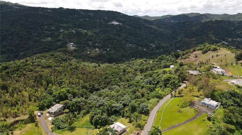 An aerial view shows houses scattered across a lush, hilly landscape with dense green forests — 185 Km. 5.8 BO CAMPO RICO SECTOR PENIEL, CANOVANAS, PR