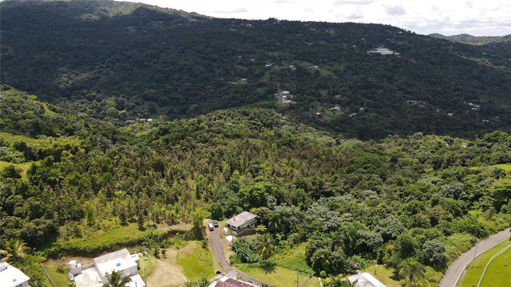 An aerial view shows a house nestled in a lush, hilly, and forested landscape — 185 Km. 5.8 BO CAMPO RICO SECTOR PENIEL, CANOVANAS, PR