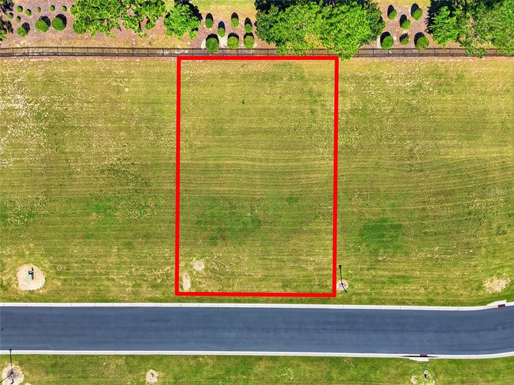 An aerial view shows a rectangular vacant lot outlined in red next to a road — 500 BONAMIA AVENUE, LAKE ALFRED, FL