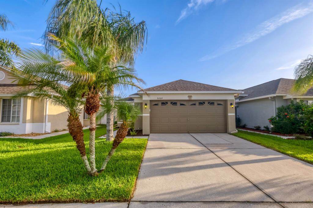 A single-story house with a tan stucco exterior, a two-car garage, and a palm tree — 31209 MASENA DRIVE, WESLEY CHAPEL, FL