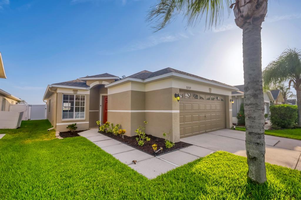 A tan stucco house exterior features a red front door and a concrete walkway — 31209 MASENA DRIVE, WESLEY CHAPEL, FL