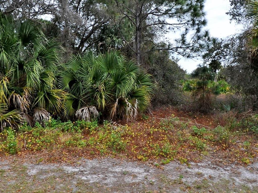 A view of a wooded lot with palmetto bushes and low-lying vegetation — FLORALA STREET, NORTH PORT, FL