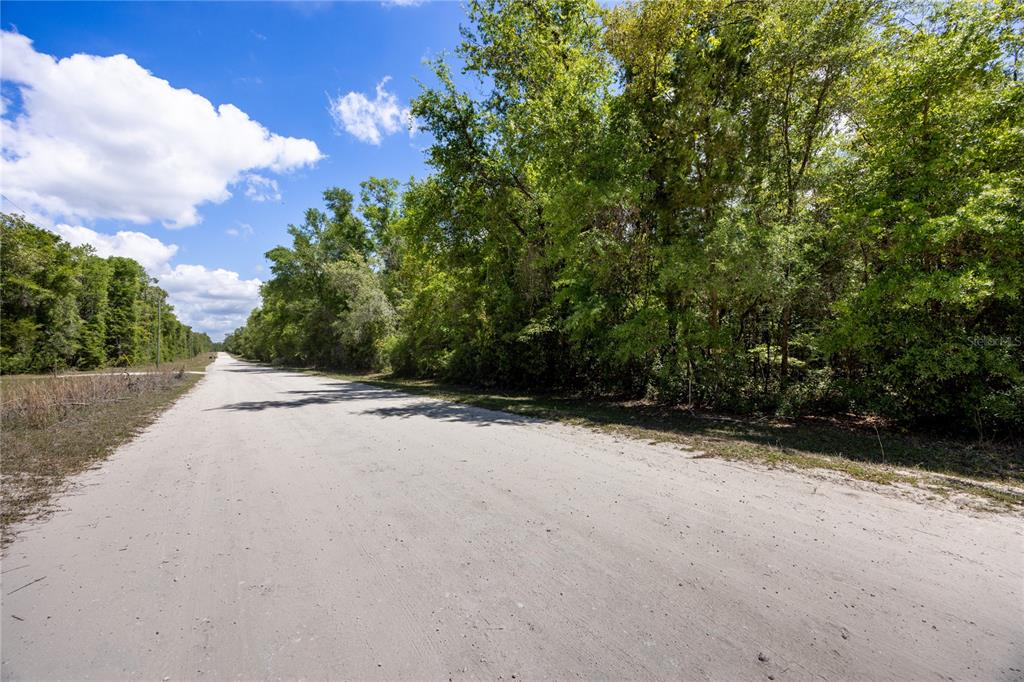 SW LONCALA LOOP, FORT WHITE, FL — photo 4 of 19