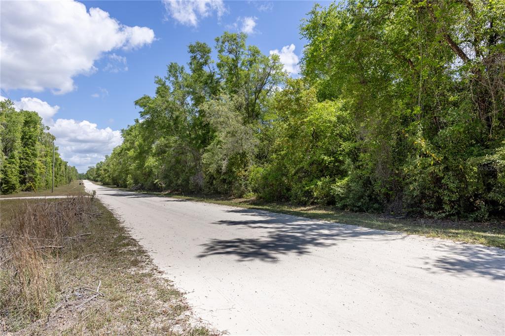 SW LONCALA LOOP, FORT WHITE, FL — photo 5 of 19