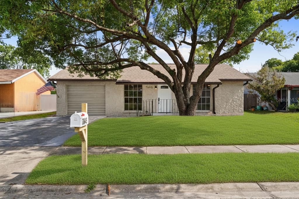 A single-story house with a textured facade, a large tree, and a front lawn — 7645 ARLIGHT DRIVE, NEW PORT RICHEY, FL