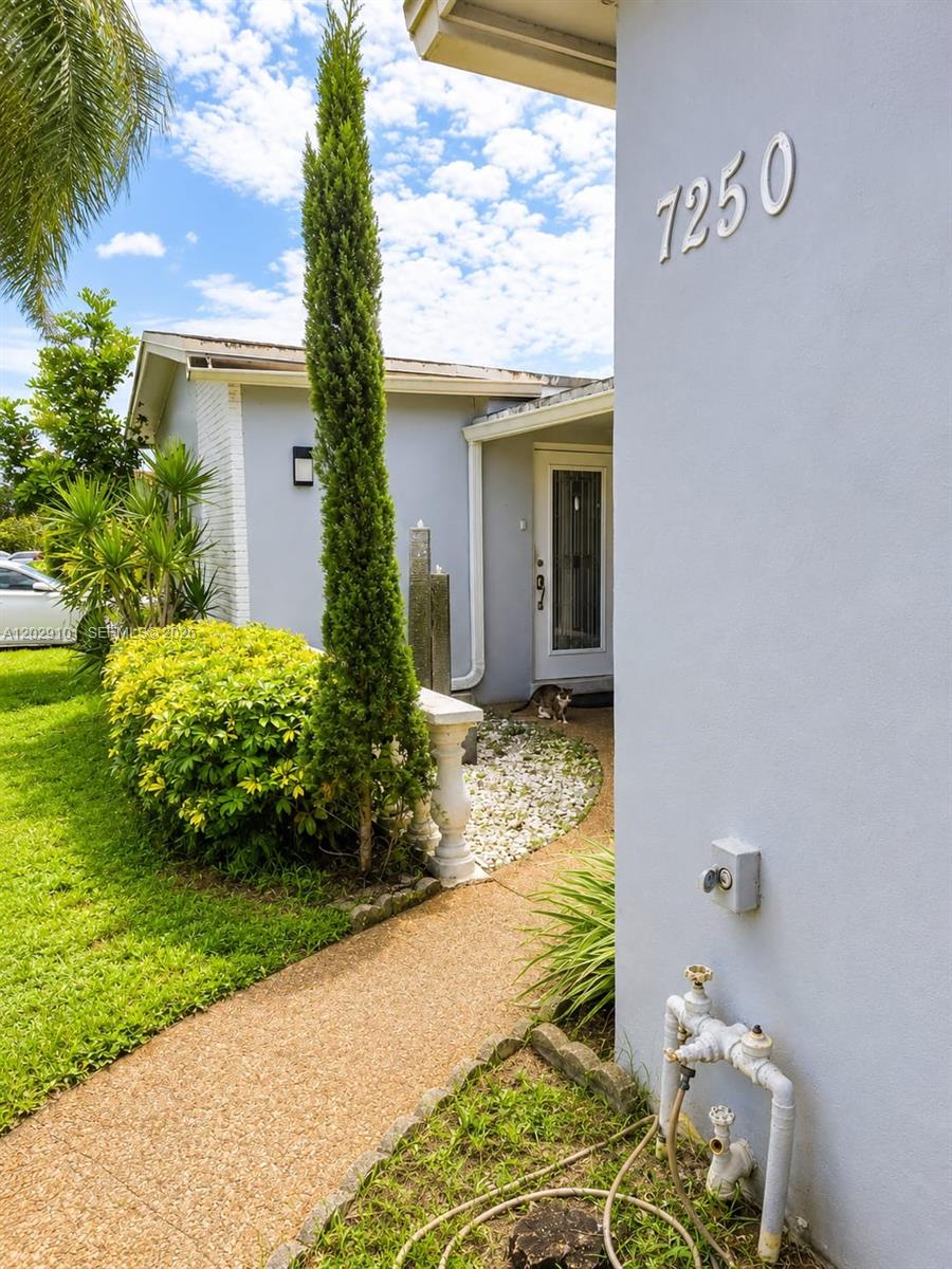 A walkway leads to the front entrance of a house with a cat nearby — 7250 Dilido Blvd, Miramar FL 33023, MIRAMAR, FL