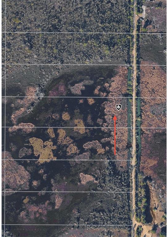 This aerial map shows a rectangular land parcel with a house icon and red arrow — 33892 OIL WELL ROAD, PUNTA GORDA, FL