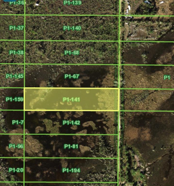 This is a map showing a highlighted rectangular land parcel labeled P1-141 — 33892 OIL WELL ROAD, PUNTA GORDA, FL