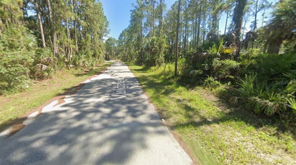 A paved road winds through a wooded area with dense trees and vegetation on both sides — VULGATE STREET, NORTH PORT, FL
