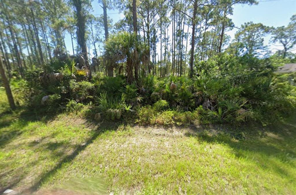 A wooded lot with dense vegetation and tall pine trees under a clear blue sky — VULGATE STREET, NORTH PORT, FL
