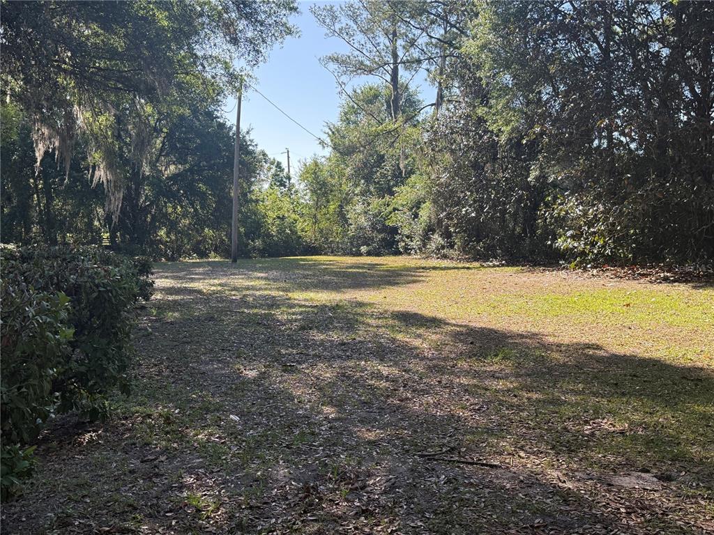A grassy, partially shaded vacant lot is surrounded by mature trees and foliage — 9845 NW 160TH STREET, REDDICK, FL
