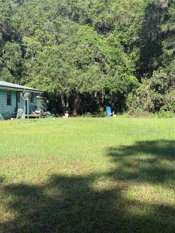 A grassy backyard features a light green house with a deck and dense surrounding trees — 9845 NW 160TH STREET, REDDICK, FL