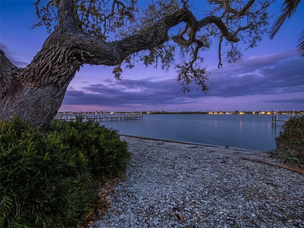 A large tree overlooks a gravel shoreline and a calm bay at twilight — 1267 STARBOARD LANE, SARASOTA, FL