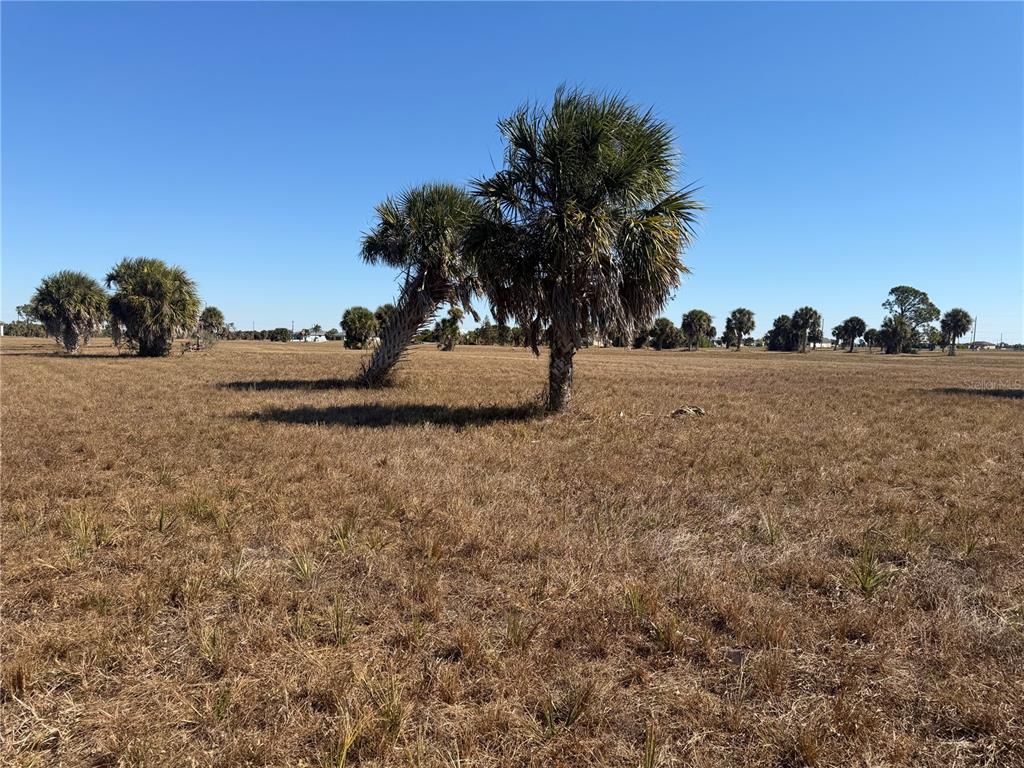 24 LARK DRIVE, PLACIDA, FL — photo 4 of 17