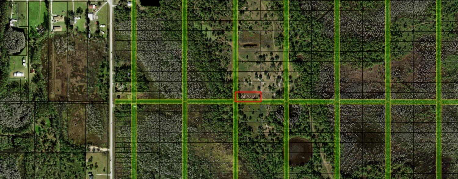 This is an aerial map showing a rectangular property parcel highlighted in red — 0 Old Grade Road, FL 33868, FL