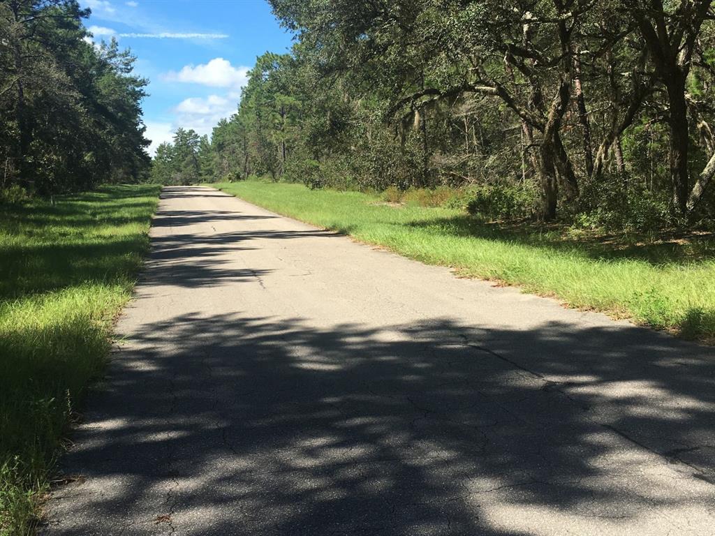 45TH TERRACE ROAD, OCALA, FL — photo 4 of 5