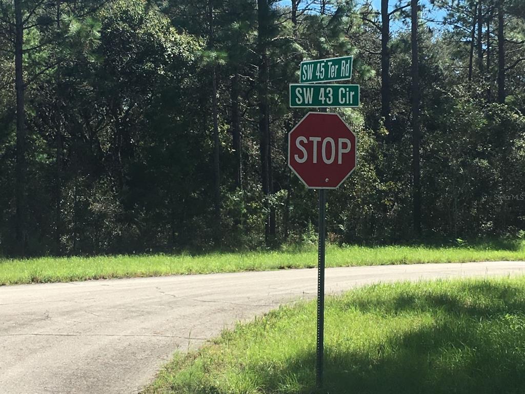 45TH TERRACE ROAD, OCALA, FL — photo 5 of 5