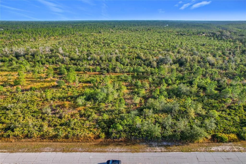 An aerial view shows a paved road in the foreground bordering a large, wooded lot — LOT 81 MEADOW LARK BOULEVARD, LAKE WALES, FL