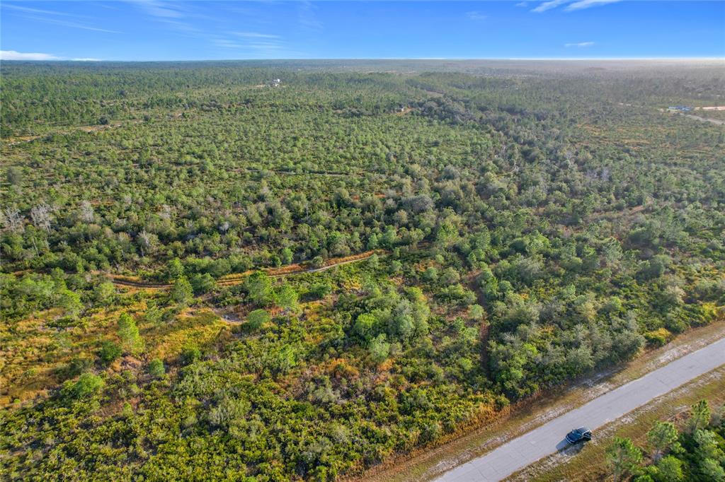 An aerial view shows a paved road bordering a large, undeveloped plot of wooded land — LOT 81 MEADOW LARK BOULEVARD, LAKE WALES, FL