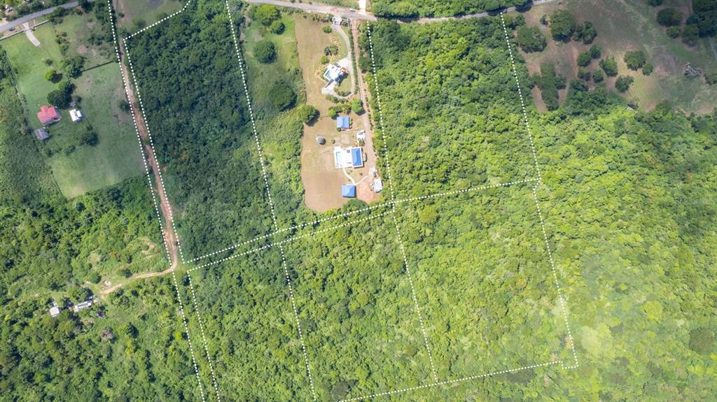 An aerial view shows several plots of land outlined with white dashed lines containing buildings — Lot 1 (B1) LA LLAVE, VIEQUES, PR